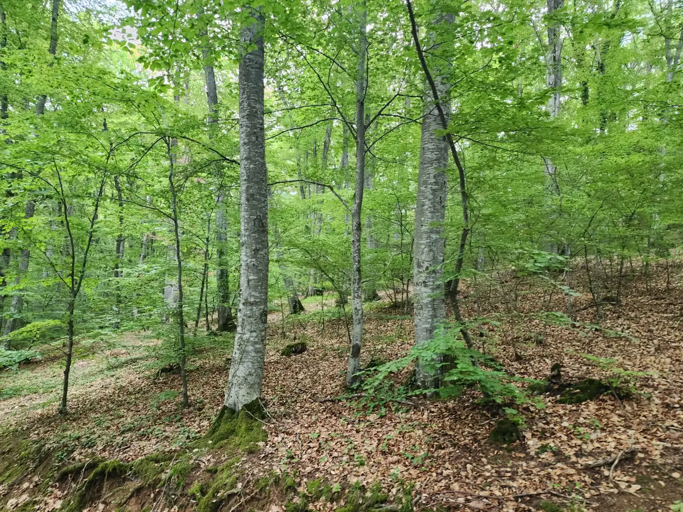 sustainability — CONTECH