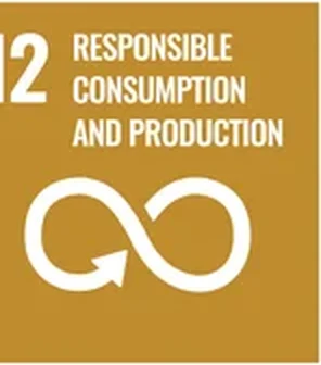 UN Sustainable Development Goal 12 — Responsible Consumption and Production